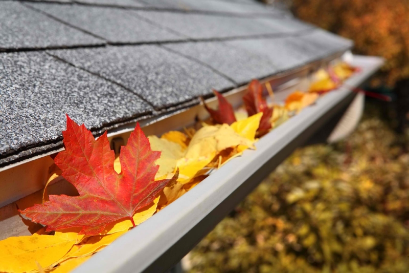 Rainwater Harvesting System Installation