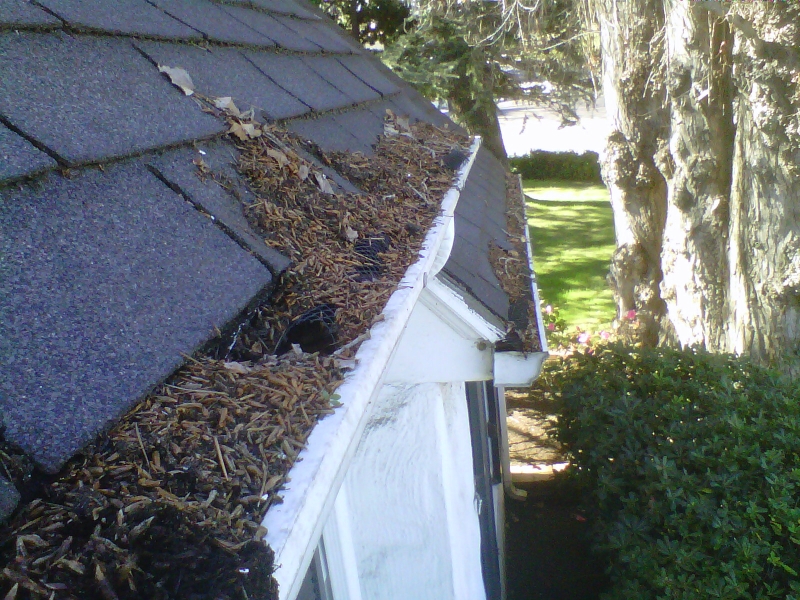 Fascia Repair
