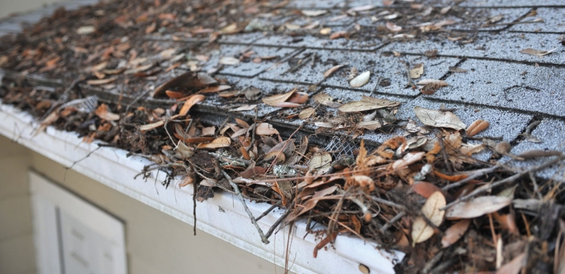 Soffit Repair