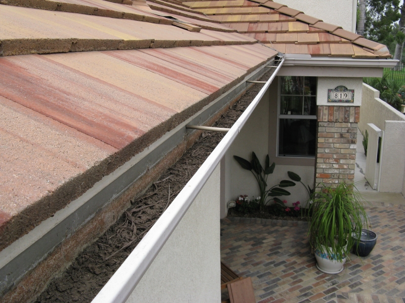 Wildlife-Proofing Gutters (Bird, Squirrel, Rodent Guards)